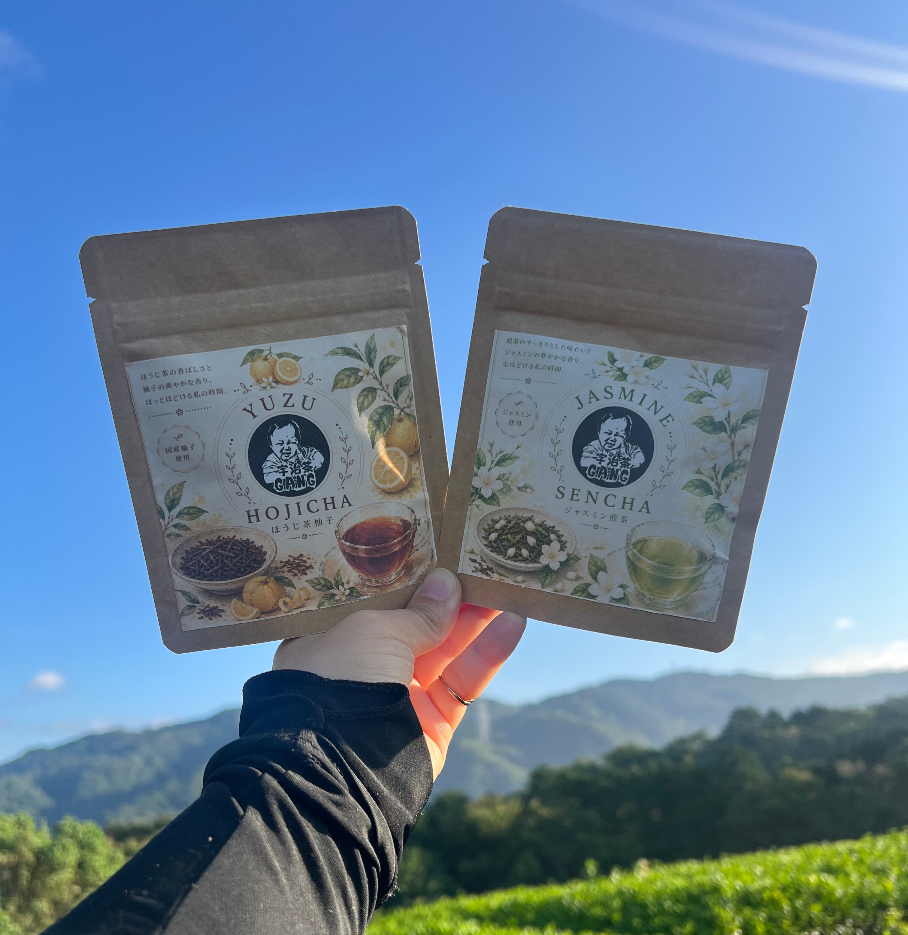 2026新茶】特上煎茶ティーバッグ – 宇治茶GANG