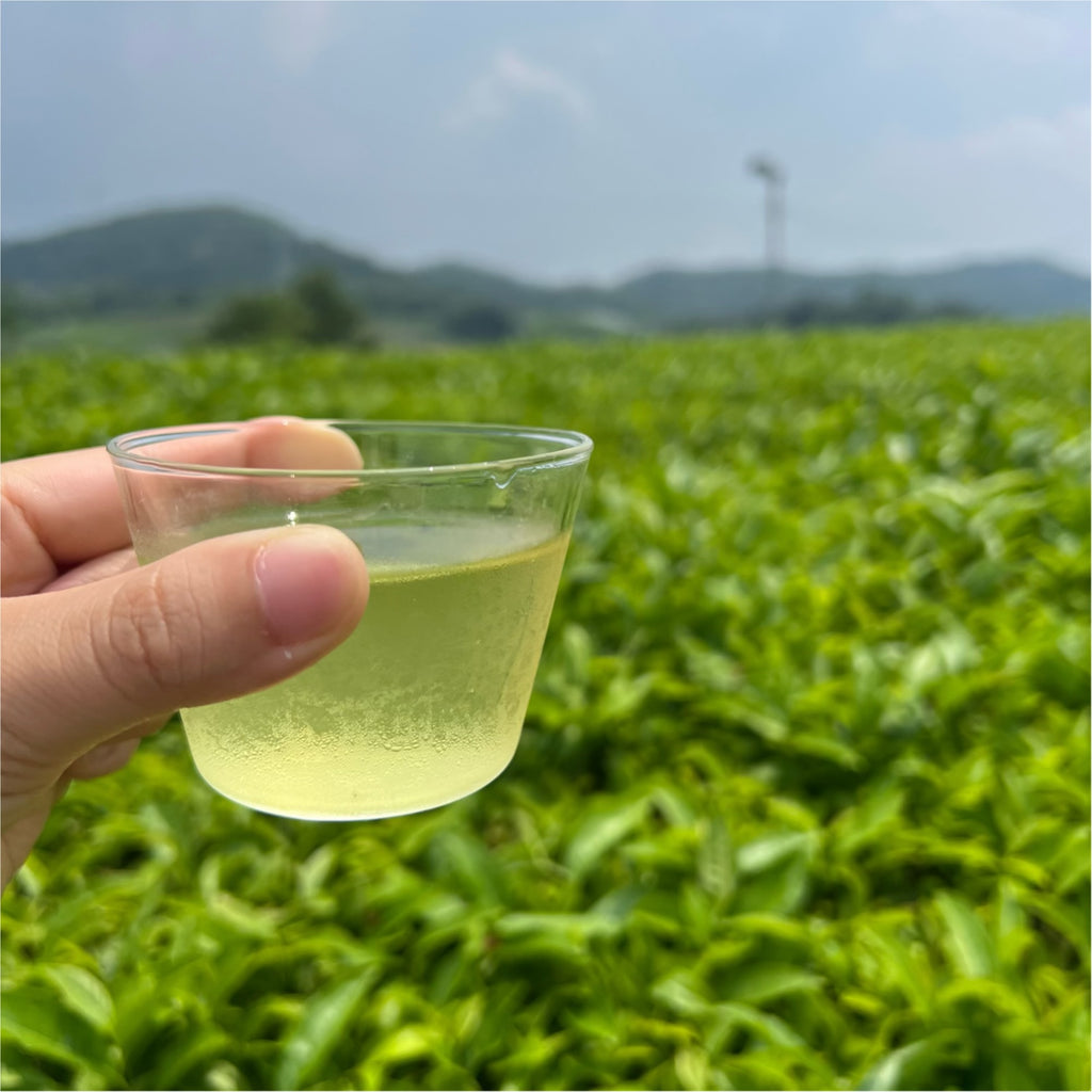 【2026年新茶】特上玄米茶 150g