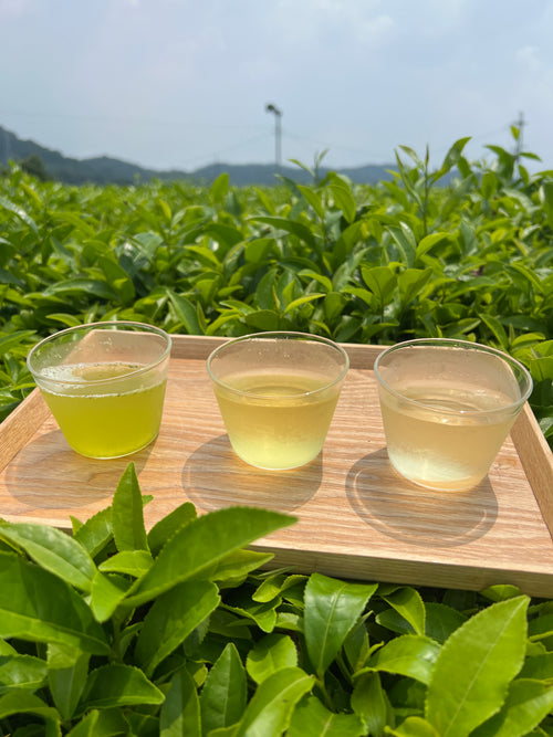 【2026年新茶】3種飲み比べセット（深蒸しかぶせ茶80g・特上煎茶100g・特上玄米茶150g）