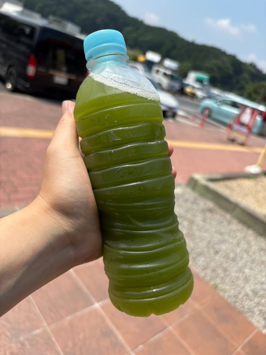 ＊初めての方におすすめ＊【便利な個包装パウダースティック】日本茶10種類セット