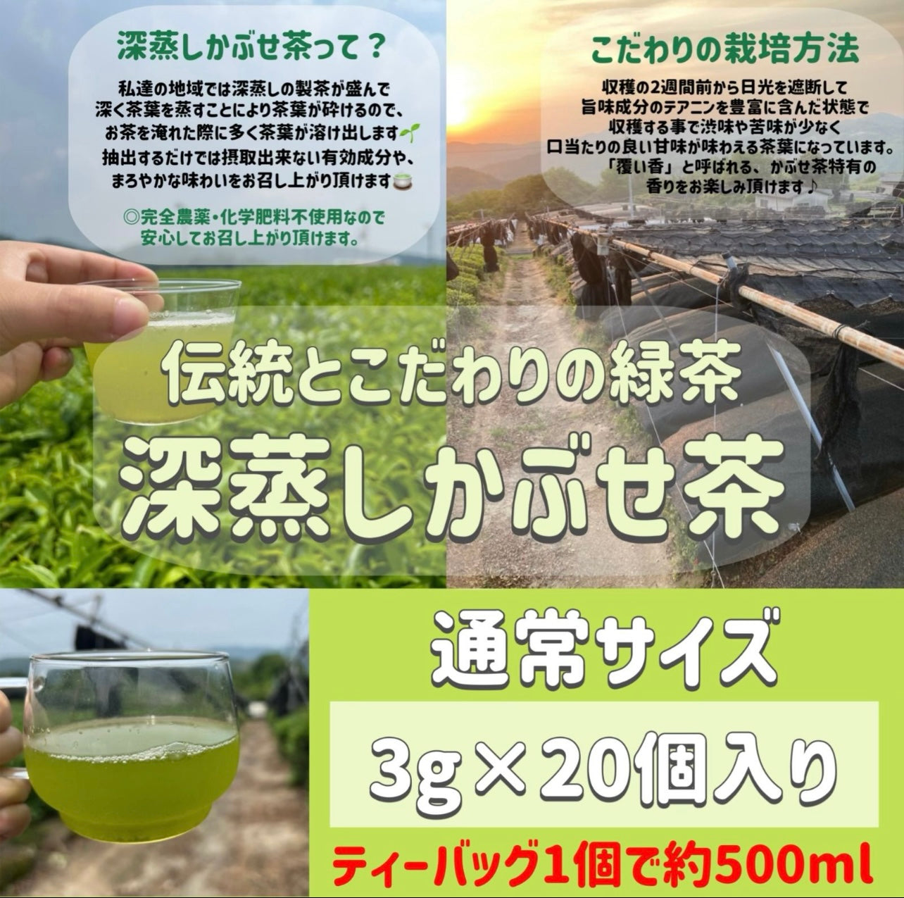 【新茶】深蒸しかぶせ茶ティーバッグ　3g×20個
