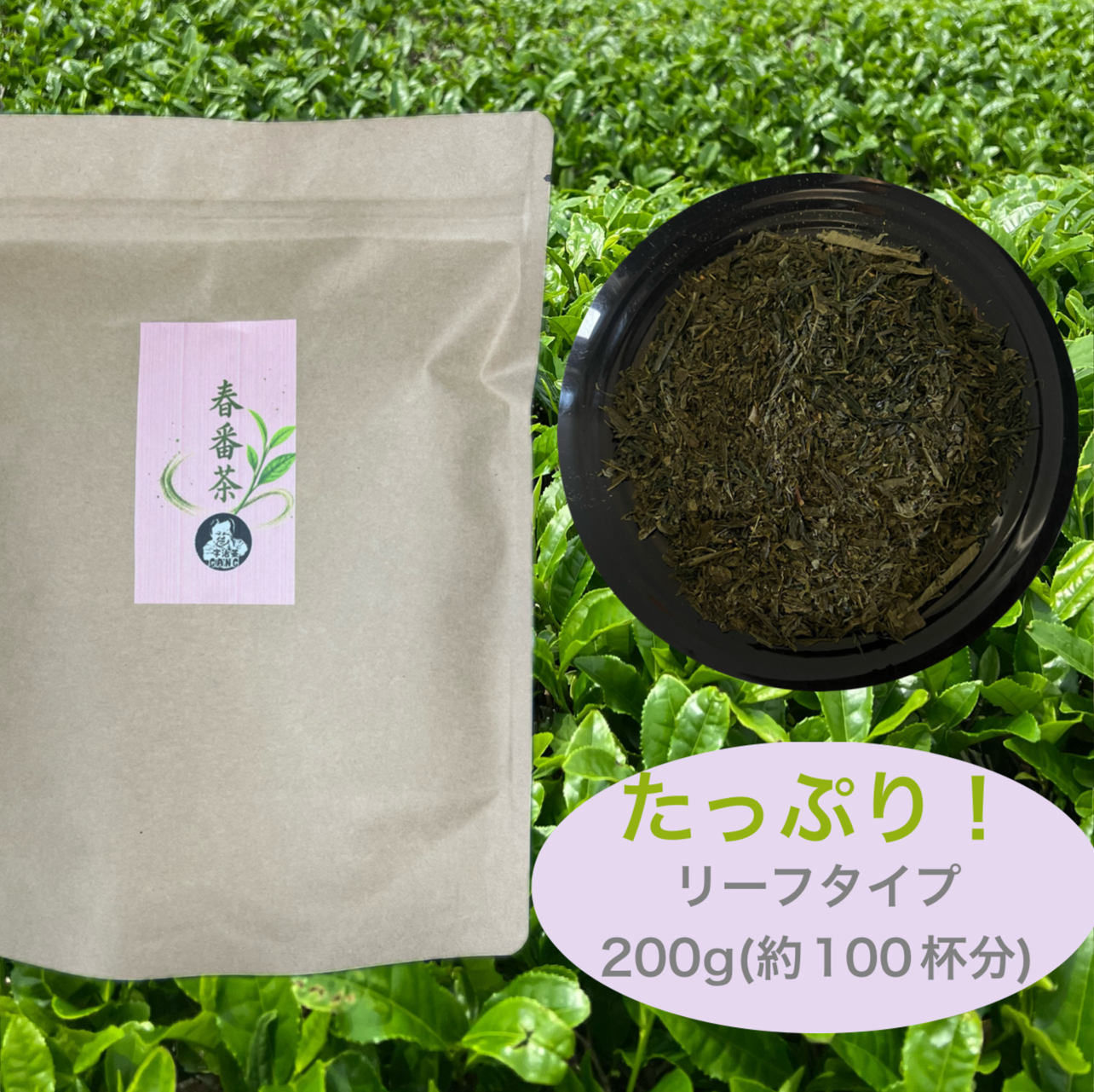 【緑茶】【普段使いにおすすめ】春番茶リーフ200g