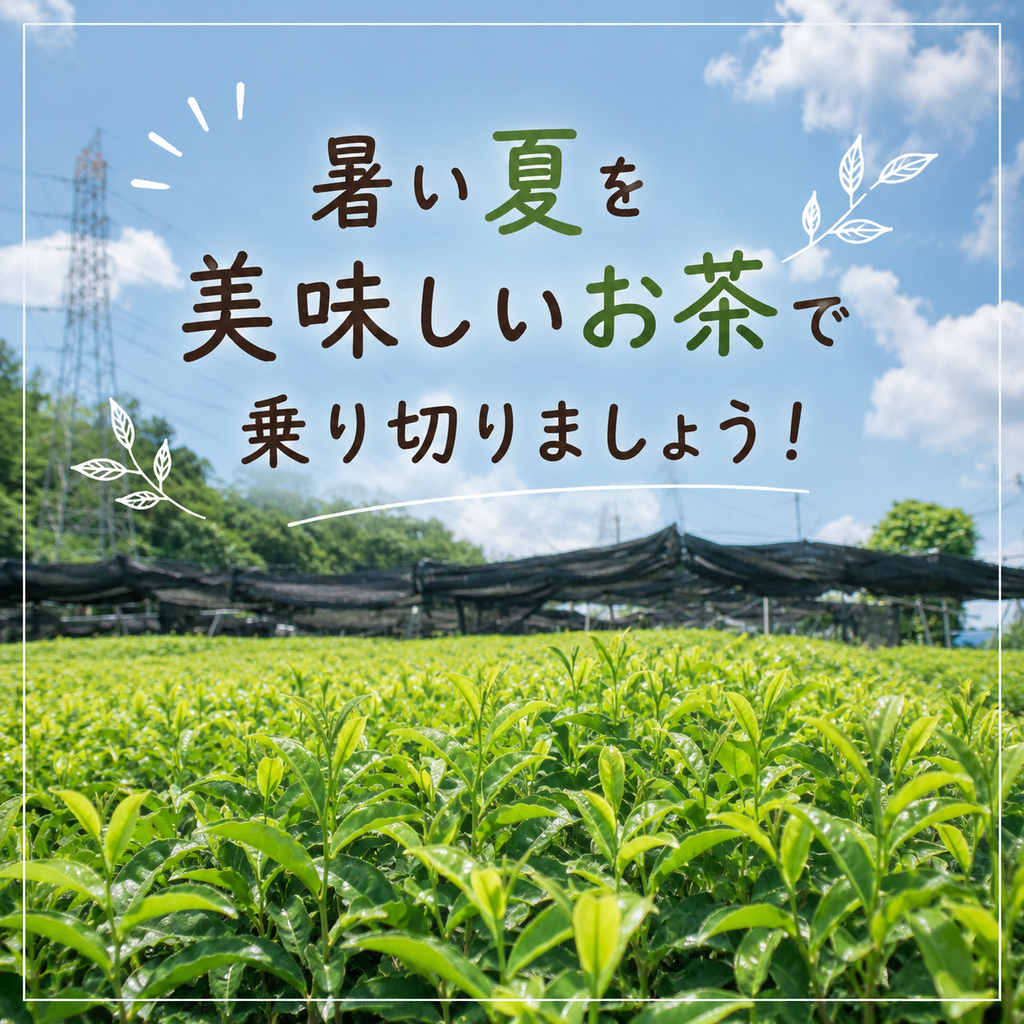 ＊7月のお茶＊5種類飲み比べセット(計45個入り)