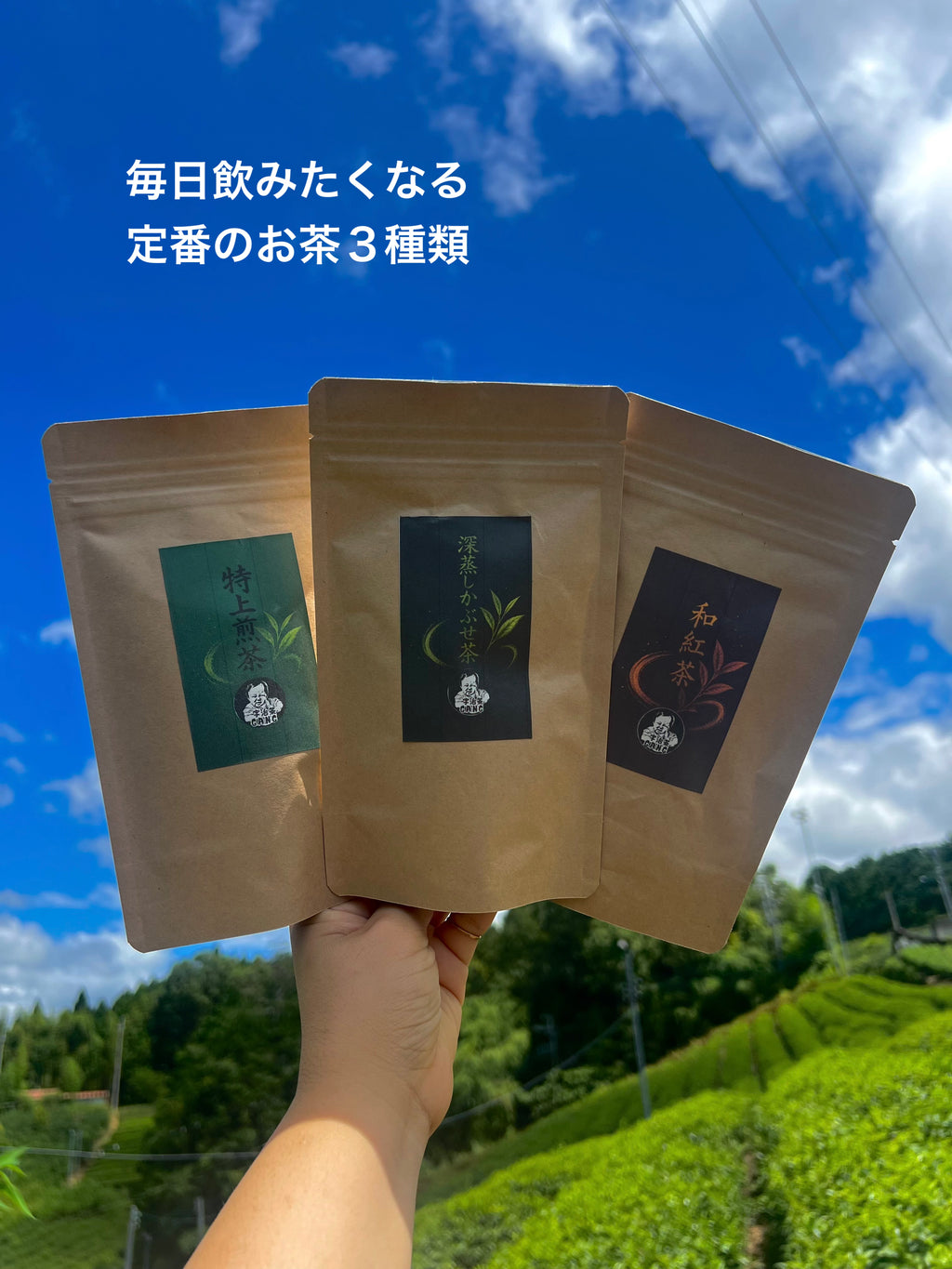 ＊8月のお茶＊5種類飲み比べセット(計40個入り)