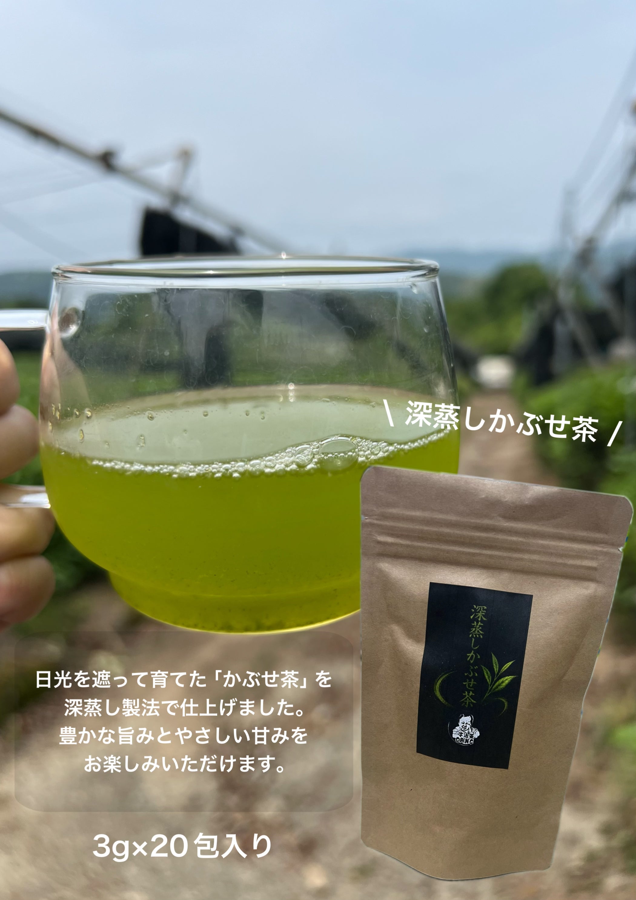 【2026新茶】深蒸しかぶせ茶ティーバッグ