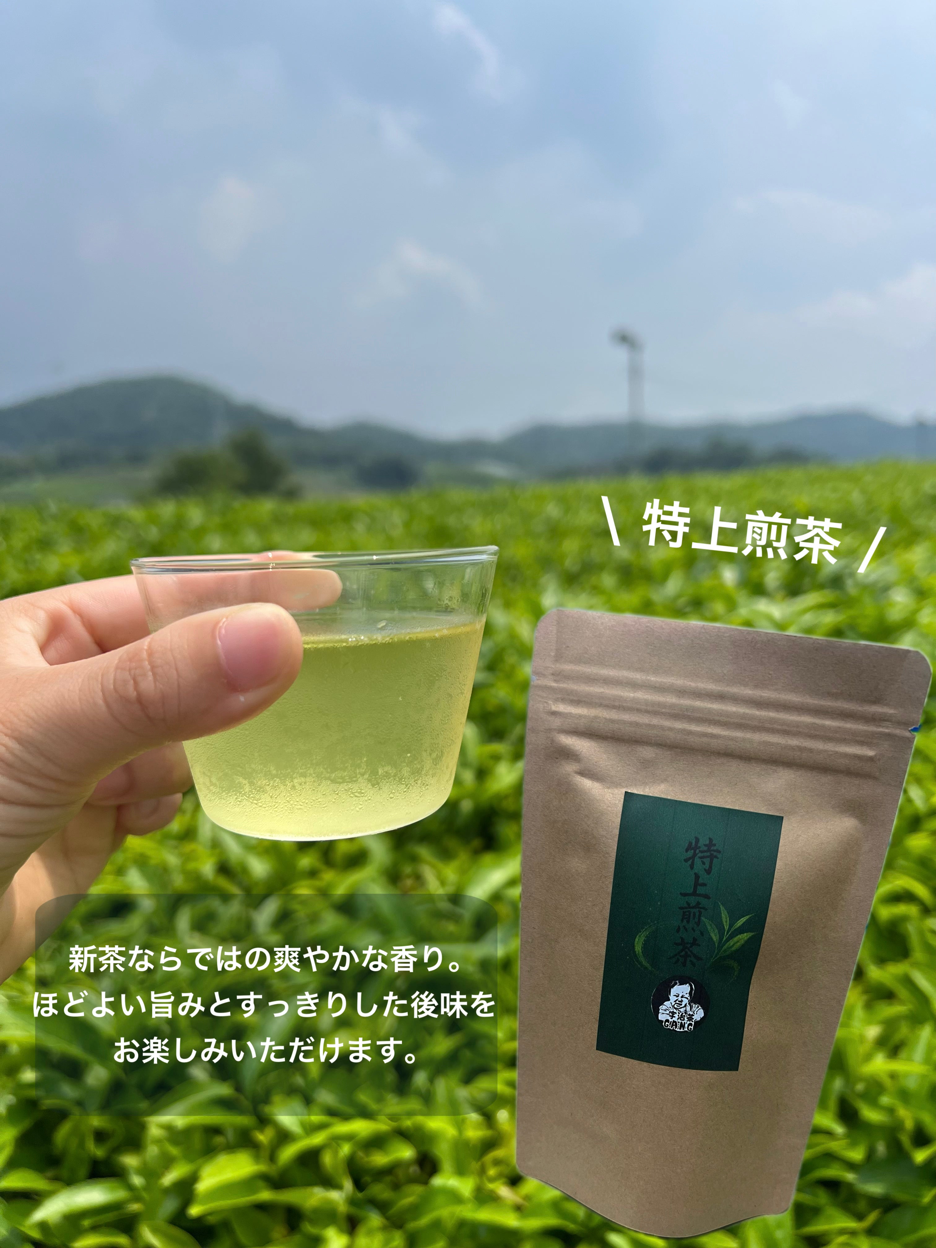 ＊8月のお茶＊5種類飲み比べセット(計40個入り)