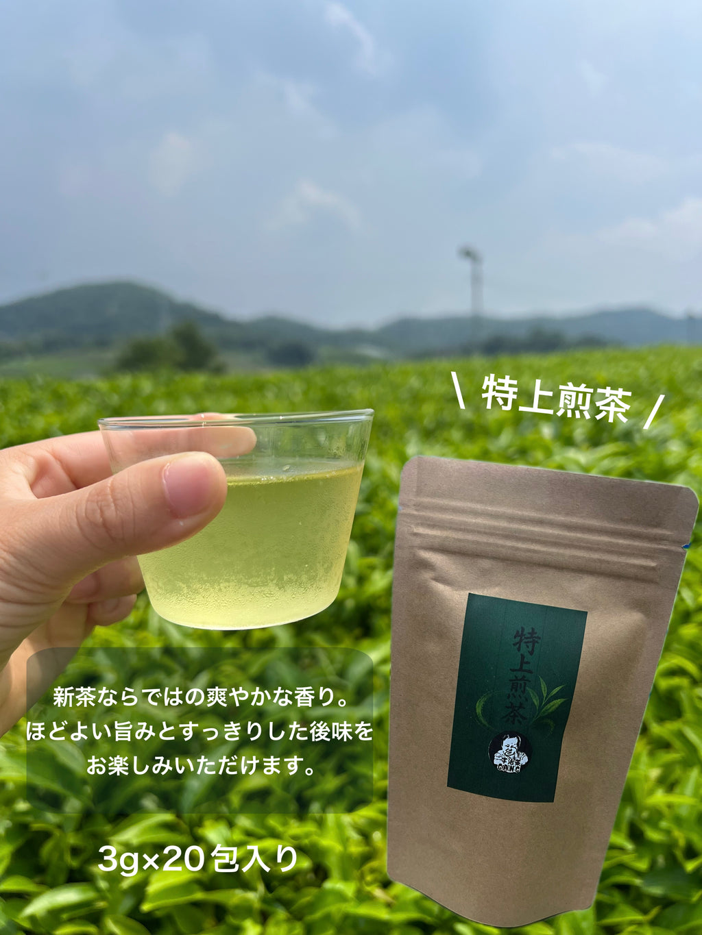 【新茶】特上煎茶ティーバッグ　3g×20個
