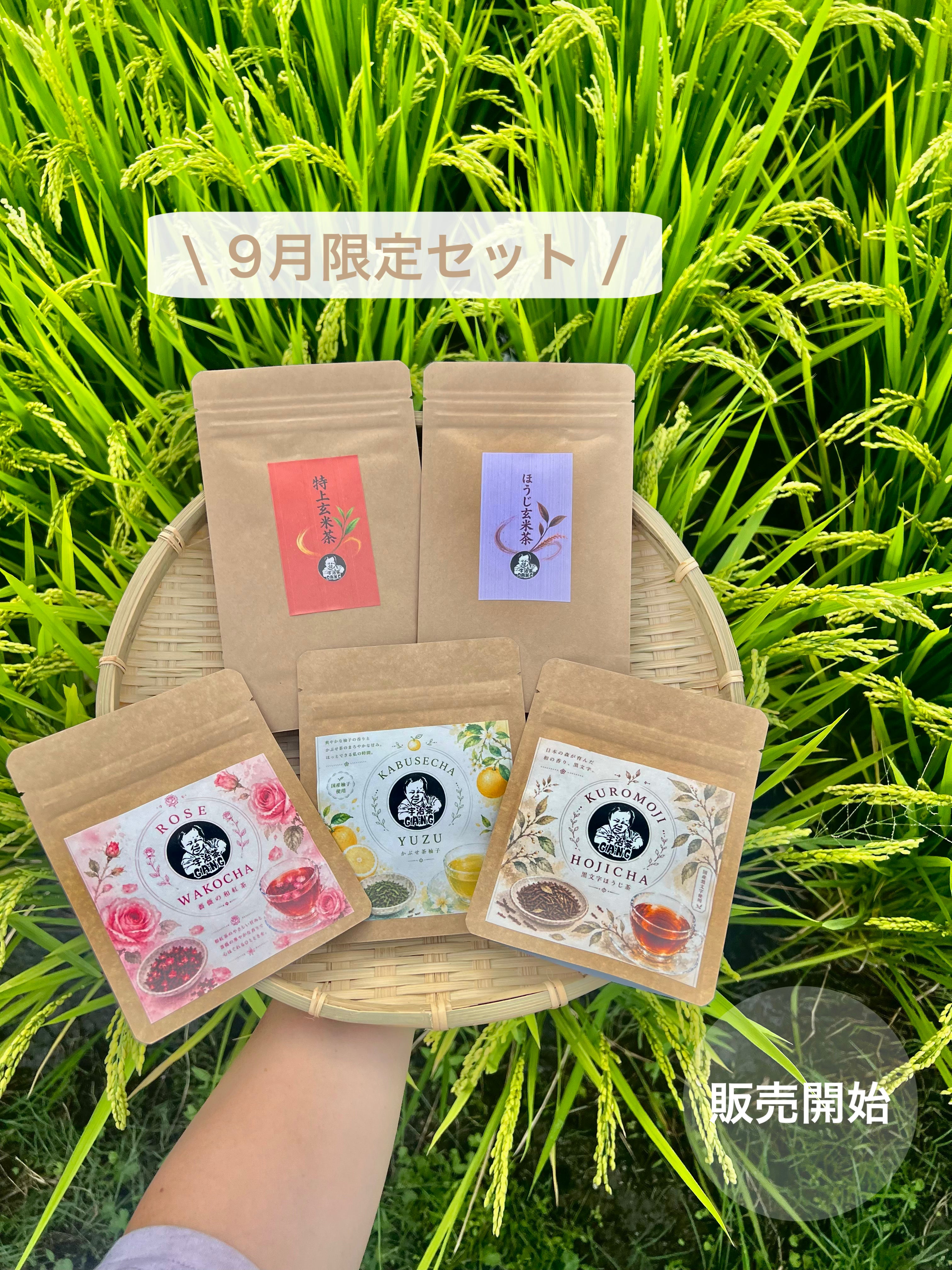 ＊9月のお茶＊5種類飲み比べセット(計35個入り)