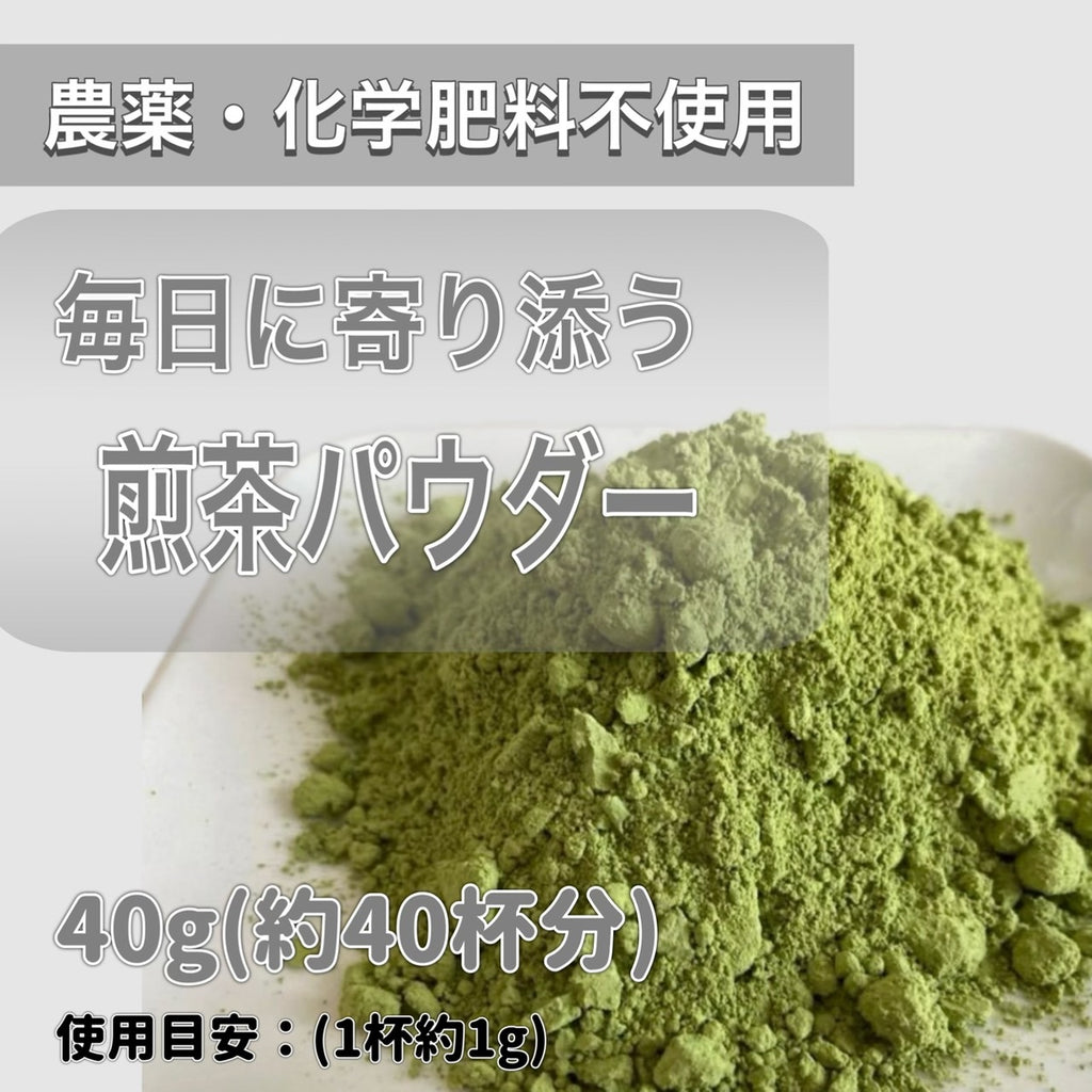 【2026年新茶】煎茶パウダー