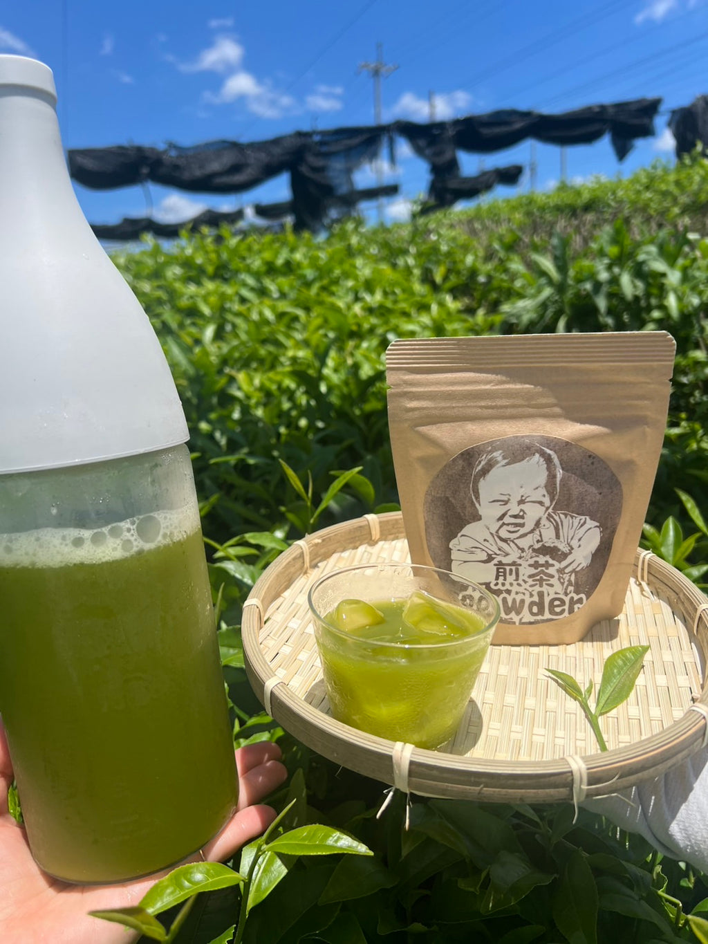 【2025年収穫】煎茶パウダー