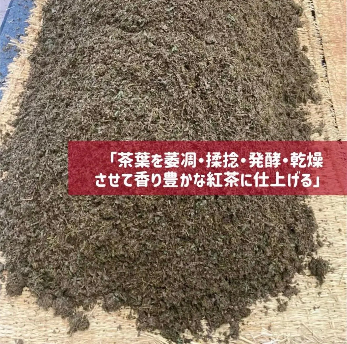 【2025年収穫】和紅茶リーフ100g