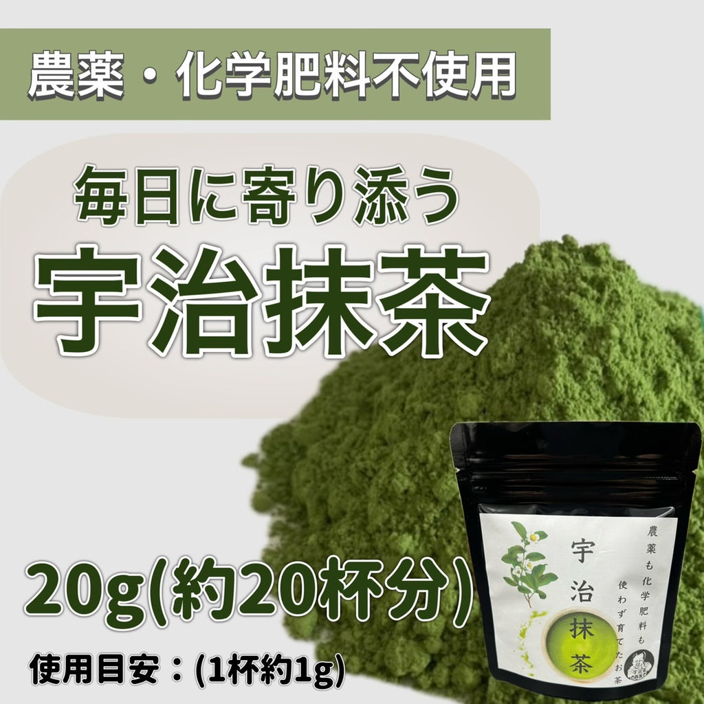 【2025年収穫】宇治抹茶