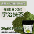 【2025年収穫】宇治抹茶