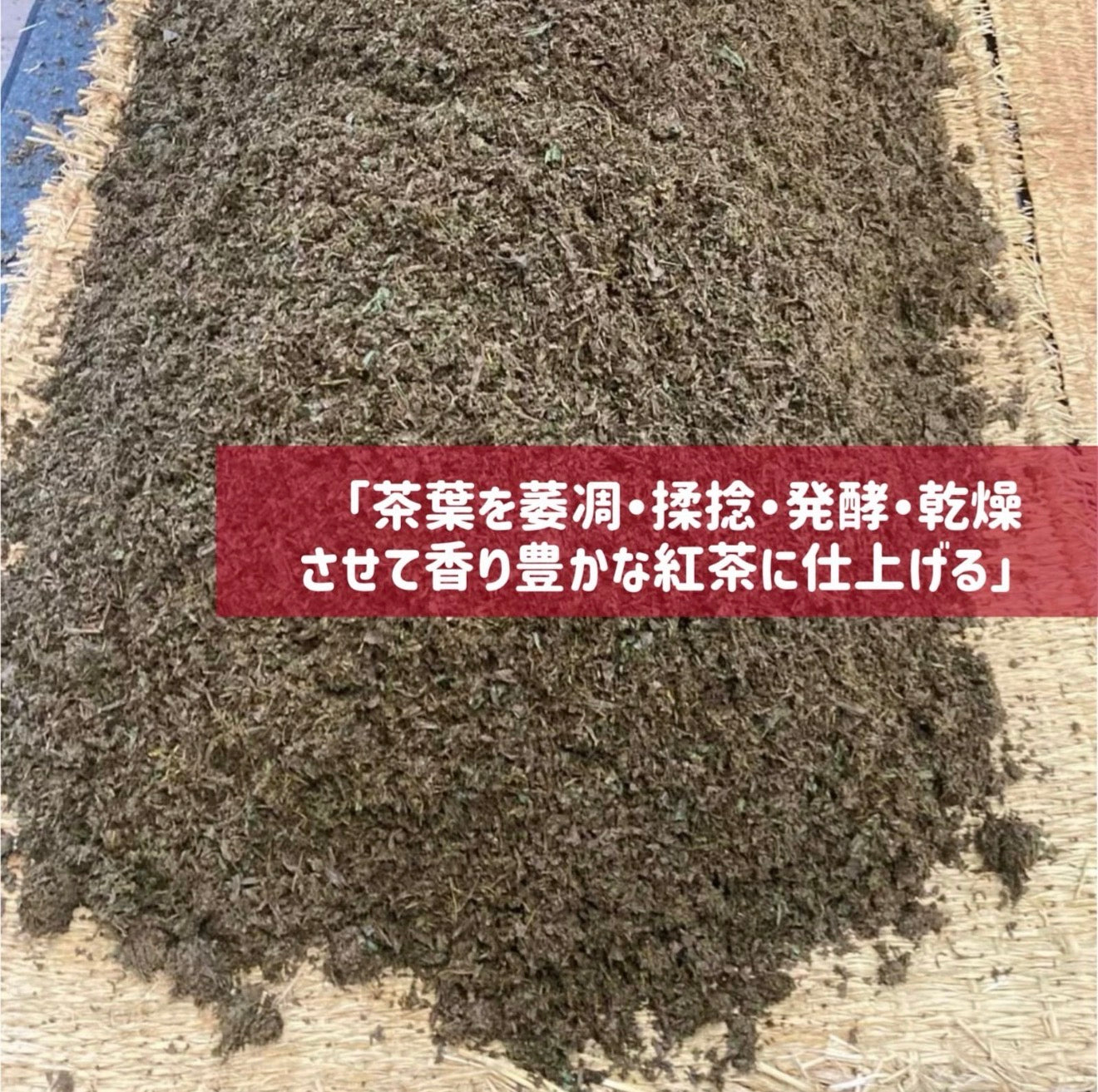 ＊初めての方におすすめ＊【便利な個包装パウダースティック】日本茶10種類セット