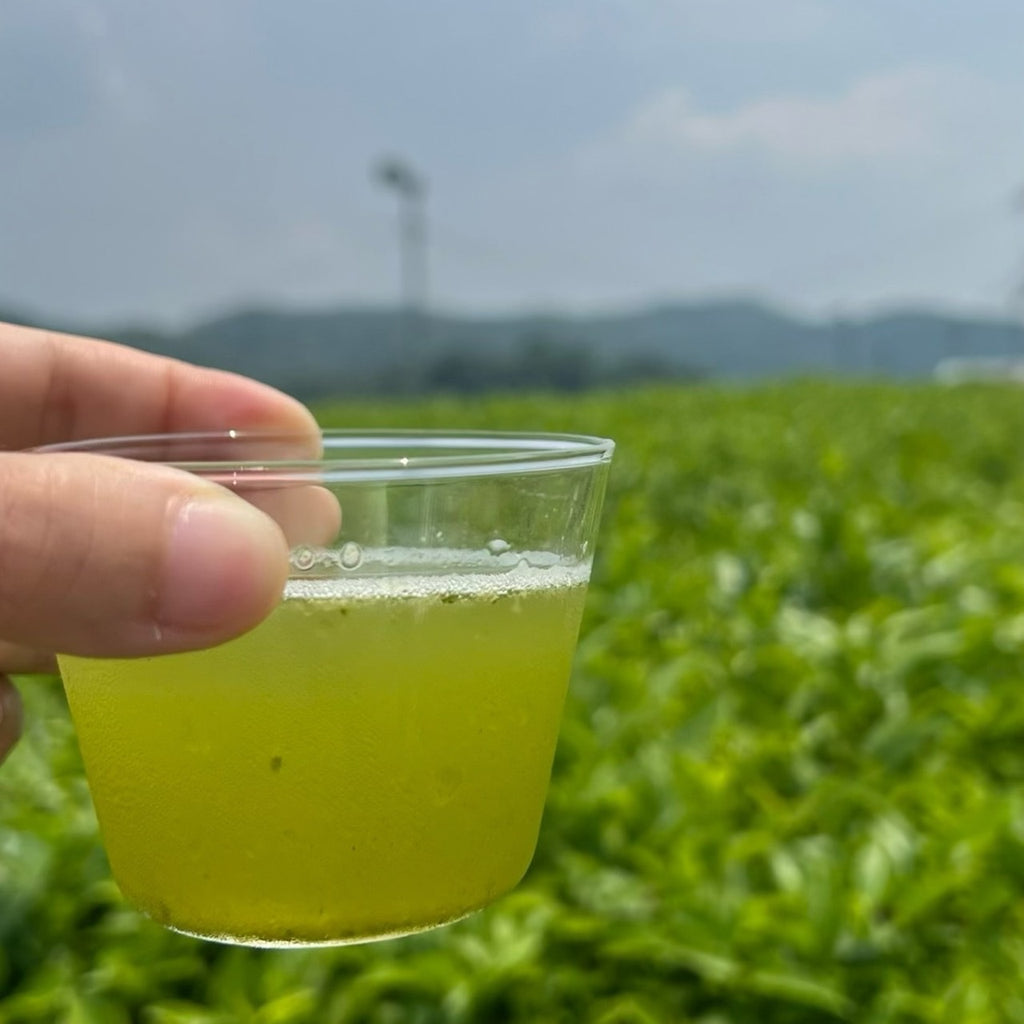 【新茶】深蒸しかぶせ茶リーフ80g