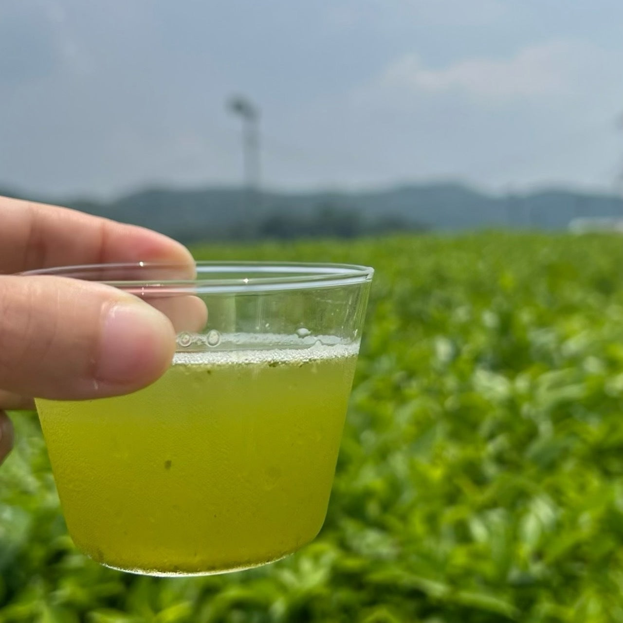 【新茶】深蒸しかぶせ茶リーフ80g