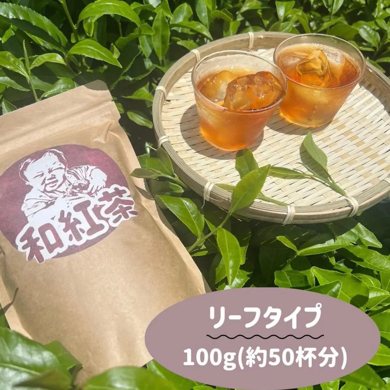 2025年収穫】宇治抹茶 – 宇治茶GANG